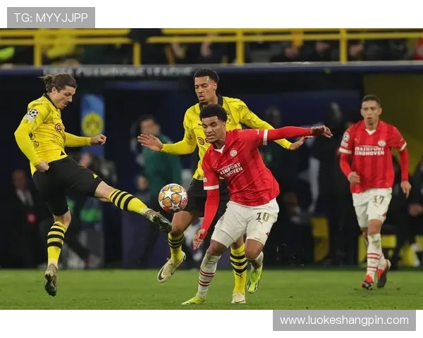 多特蒙德对阵弗赖堡布兰特萨比策首发